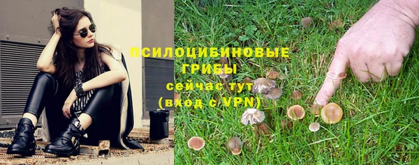 ALPHA PVP Алзамай