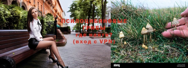 ALPHA PVP Алзамай