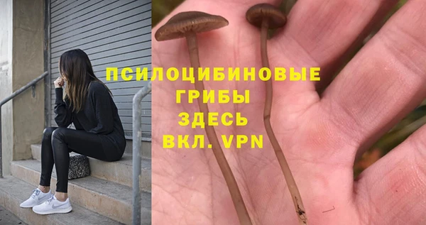 марки nbome Алексеевка