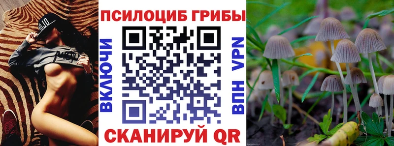 kraken вход  Чёрмоз  Псилоцибиновые грибы Psilocybe 